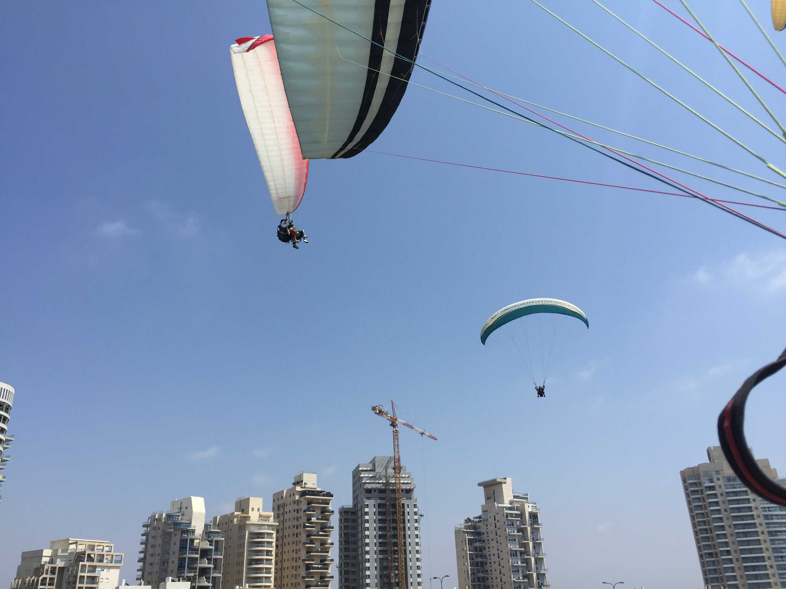 שחף מצנחי רחיפה