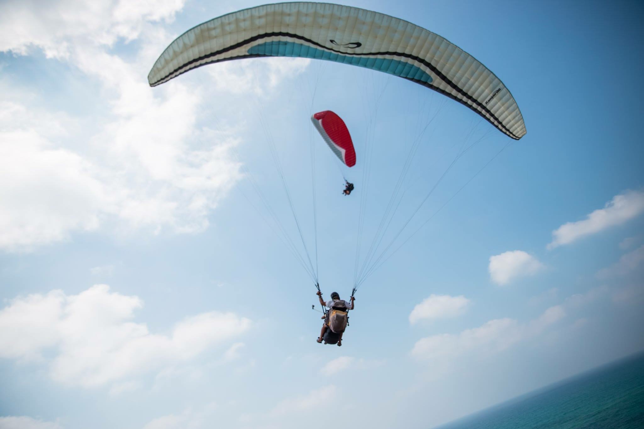 שחף מצנחי רחיפה