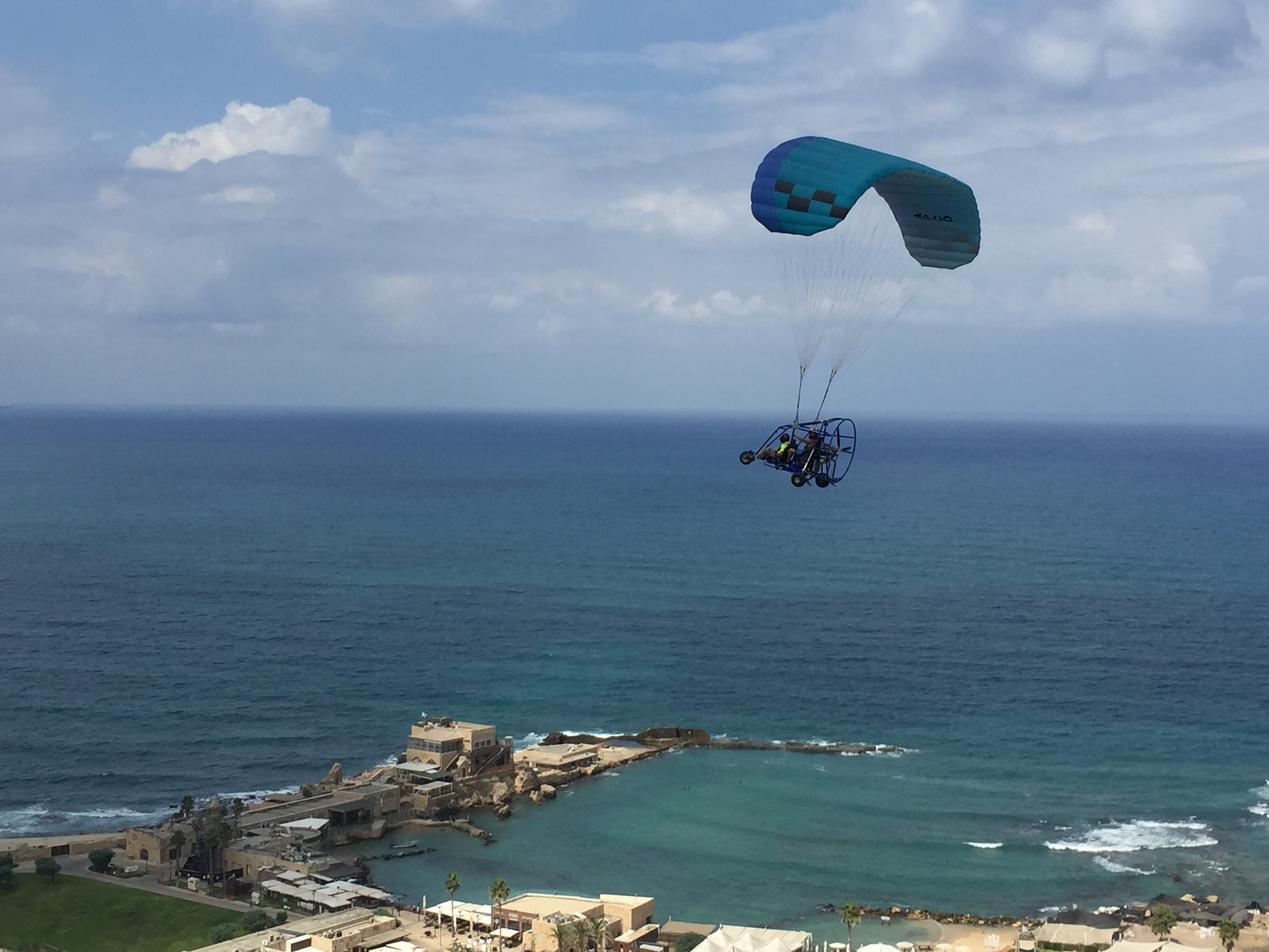 שחף מצנחי רחיפה