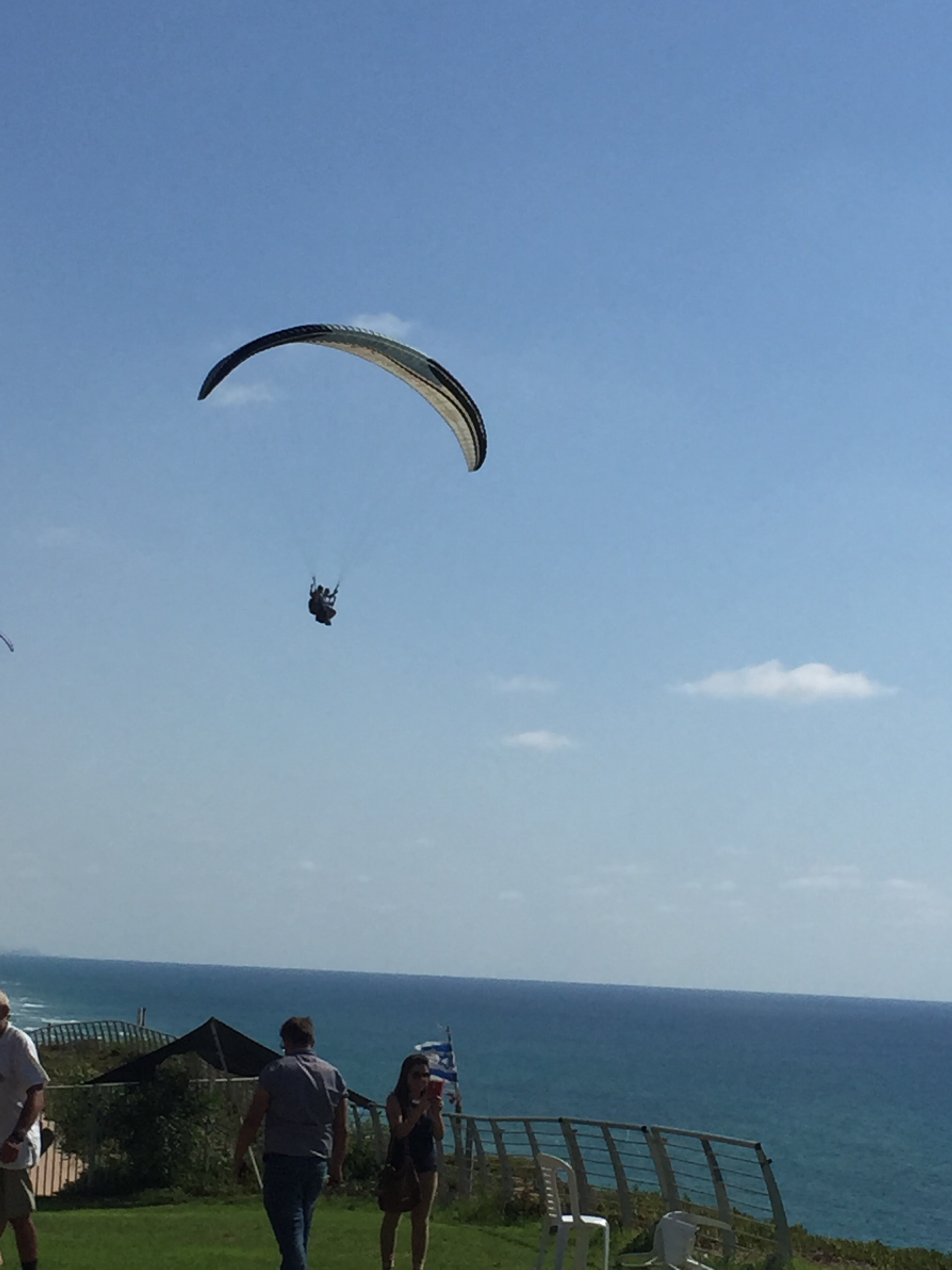 שחף מצנחי רחיפה