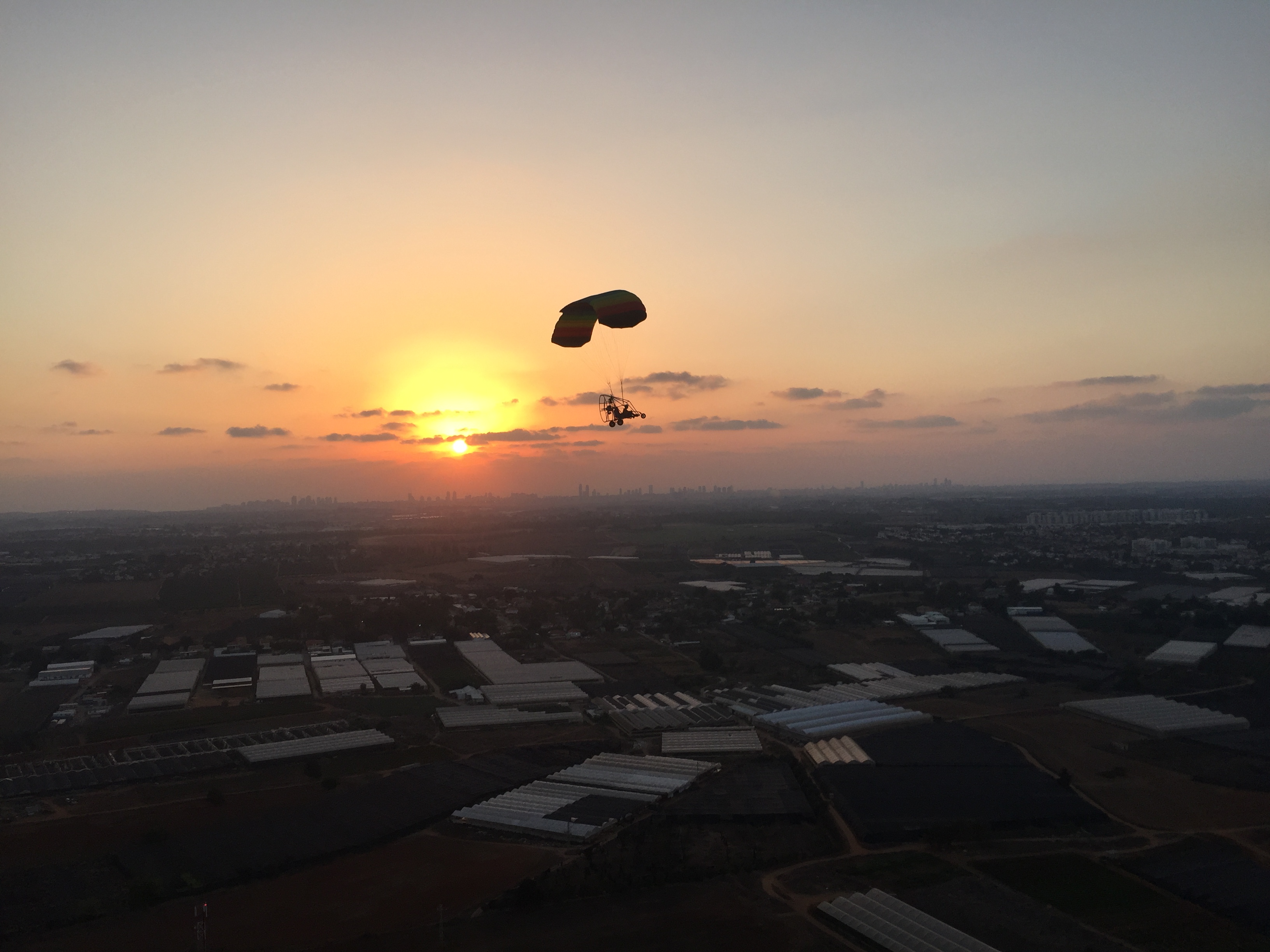 שחף מצנחי רחיפה