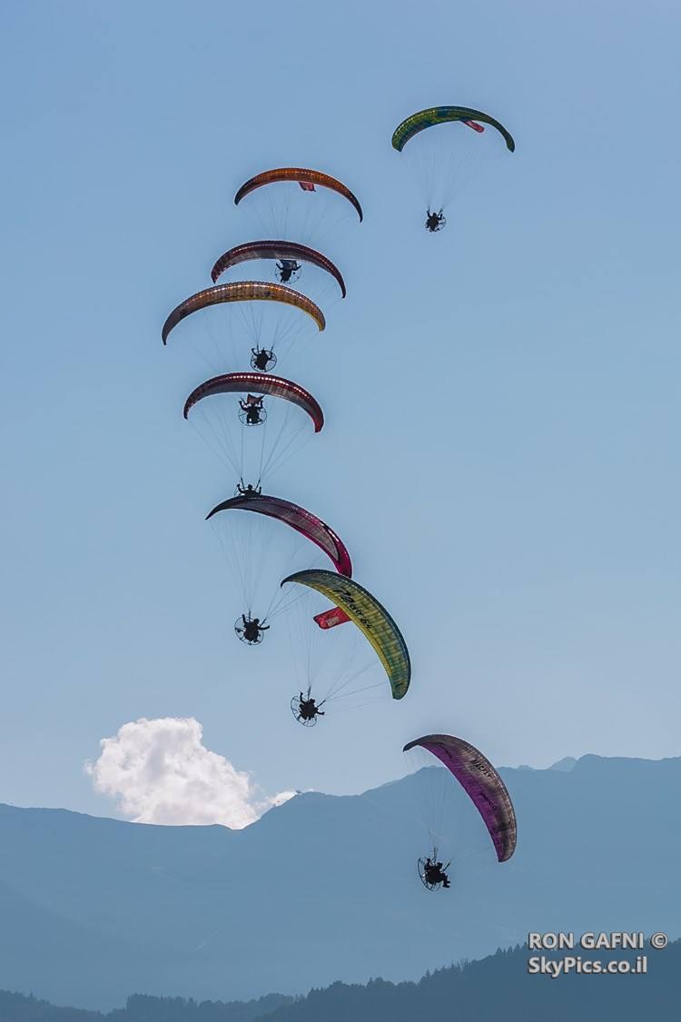 שחף מצנחי רחיפה