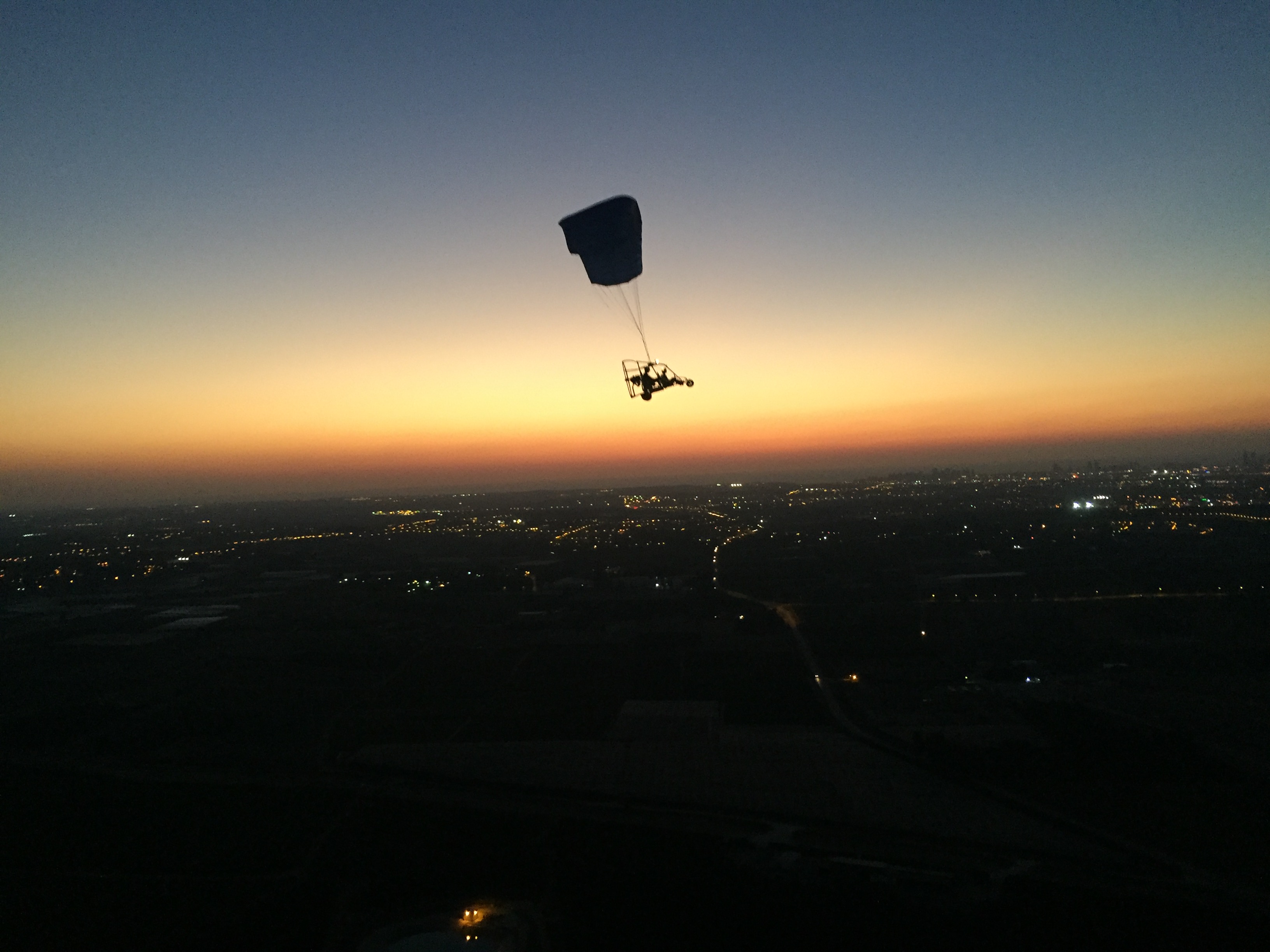 שחף מצנחי רחיפה