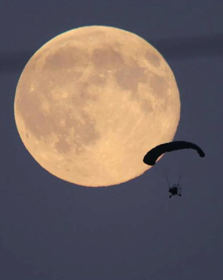 שחף מצנחי רחיפה