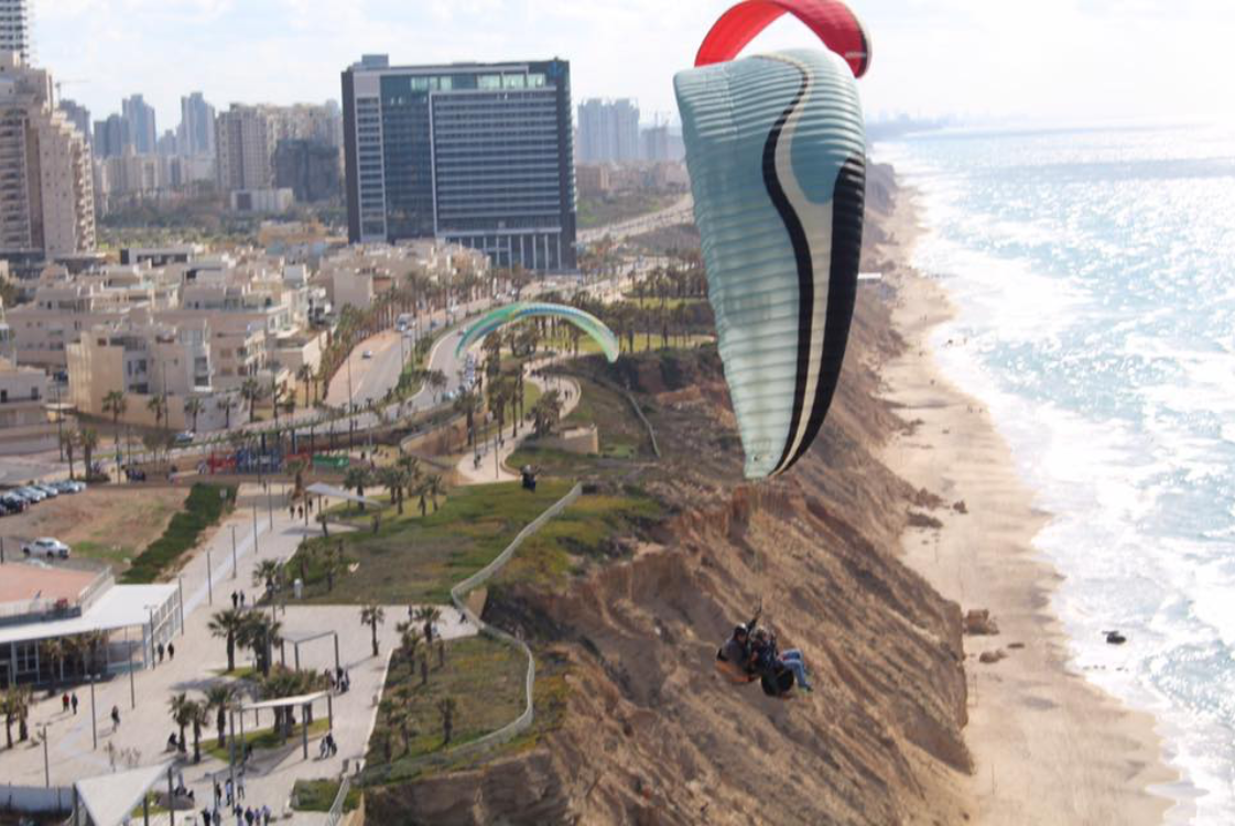 שחף מצנחי רחיפה