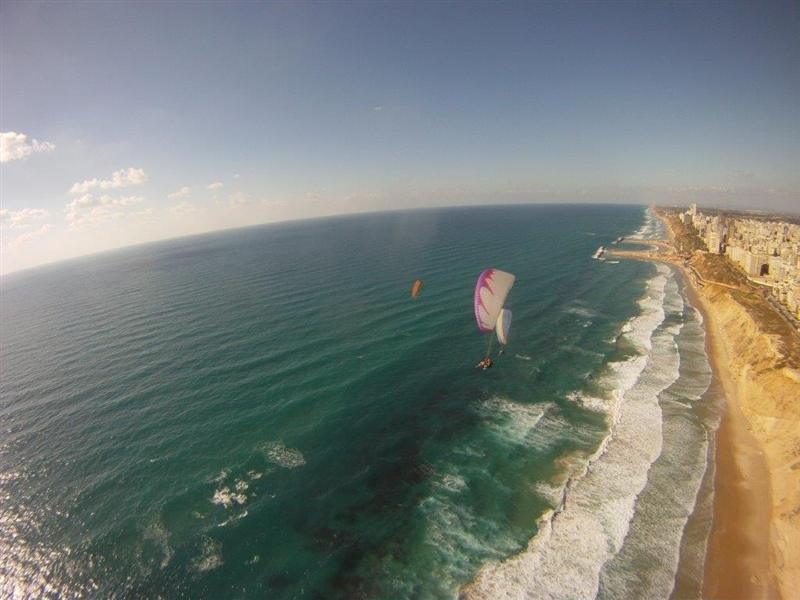 שחף מצנחי רחיפה
