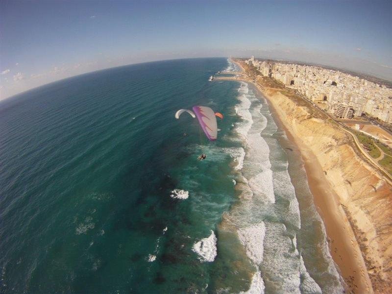 שחף מצנחי רחיפה