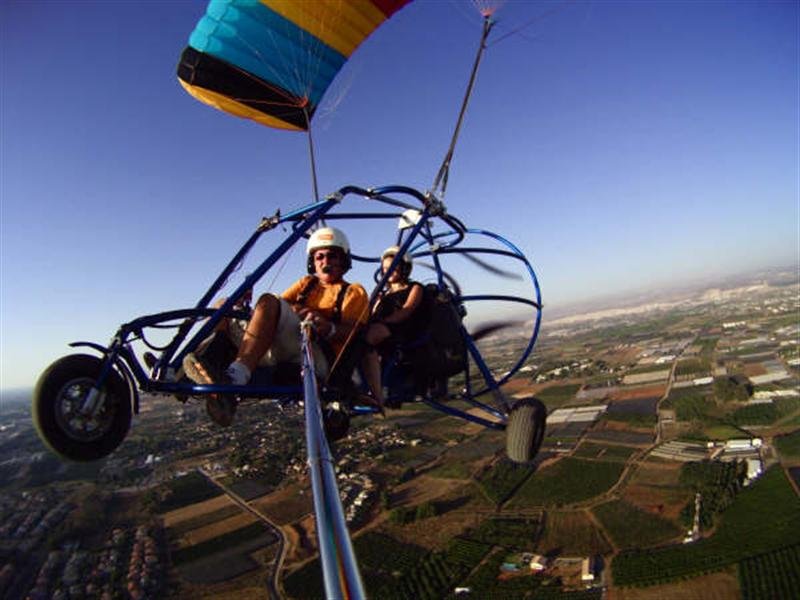 שחף מצנחי רחיפה