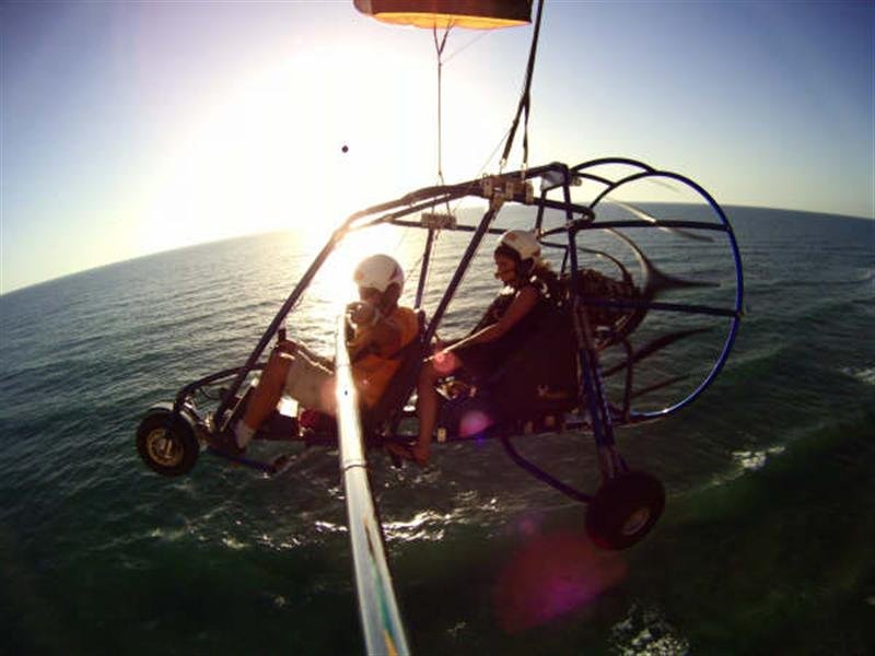 שחף מצנחי רחיפה