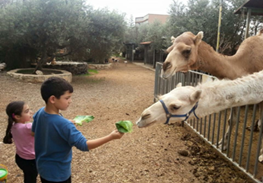 גן הסוסים כרטיס משפחתי