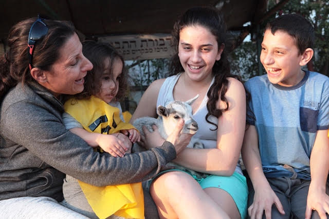 דבורת התבור