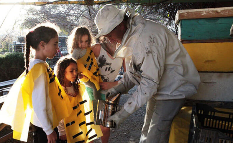 דבורת התבור