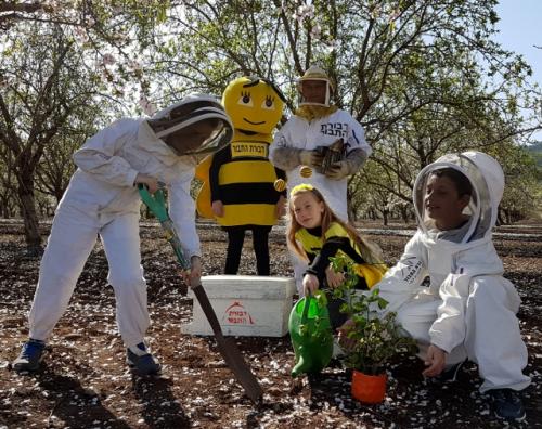 דבורת התבור