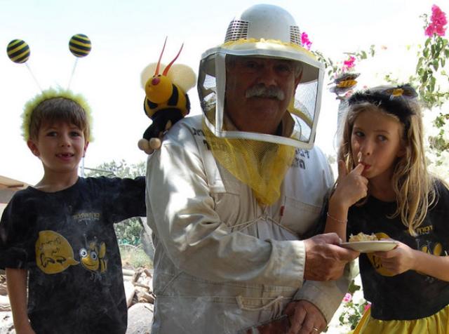 דבורת התבור