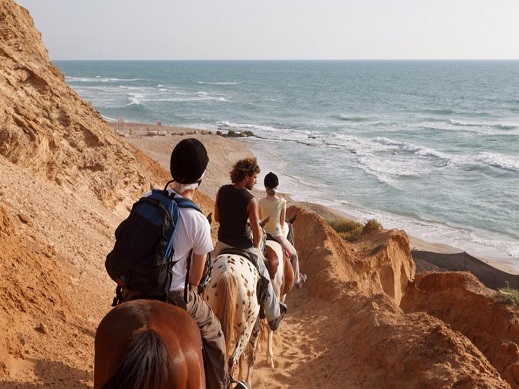 חוות סוסים דור