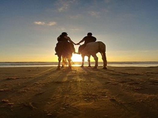 חוות סוסים דור