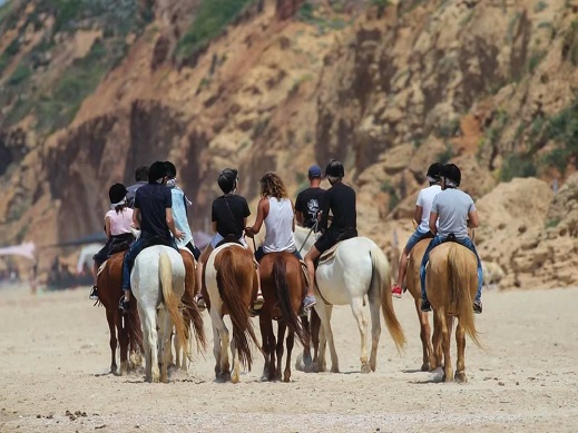 חוות סוסים דור