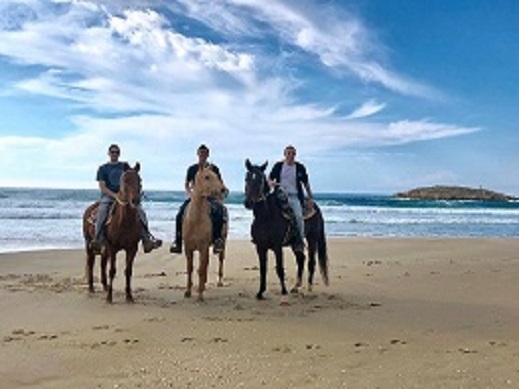 חוות סוסים דור