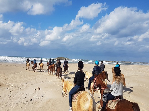 חוות סוסים דור