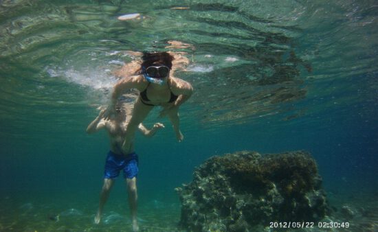 שייט סיור שעה ושחייה במים