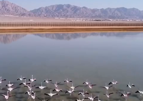 טיול ג'יפים של שעתיים